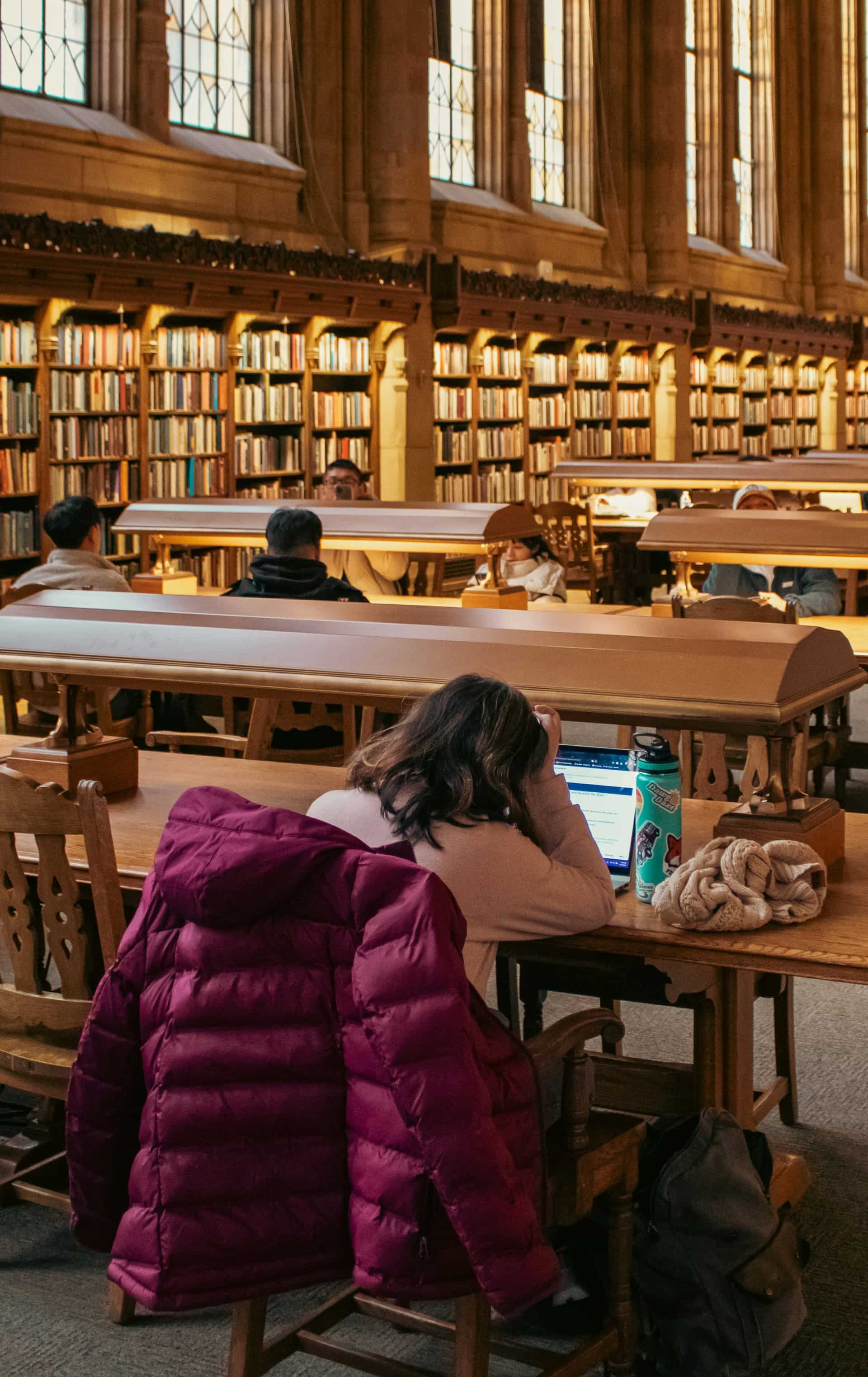 Students working quietly in a warm library reading room.